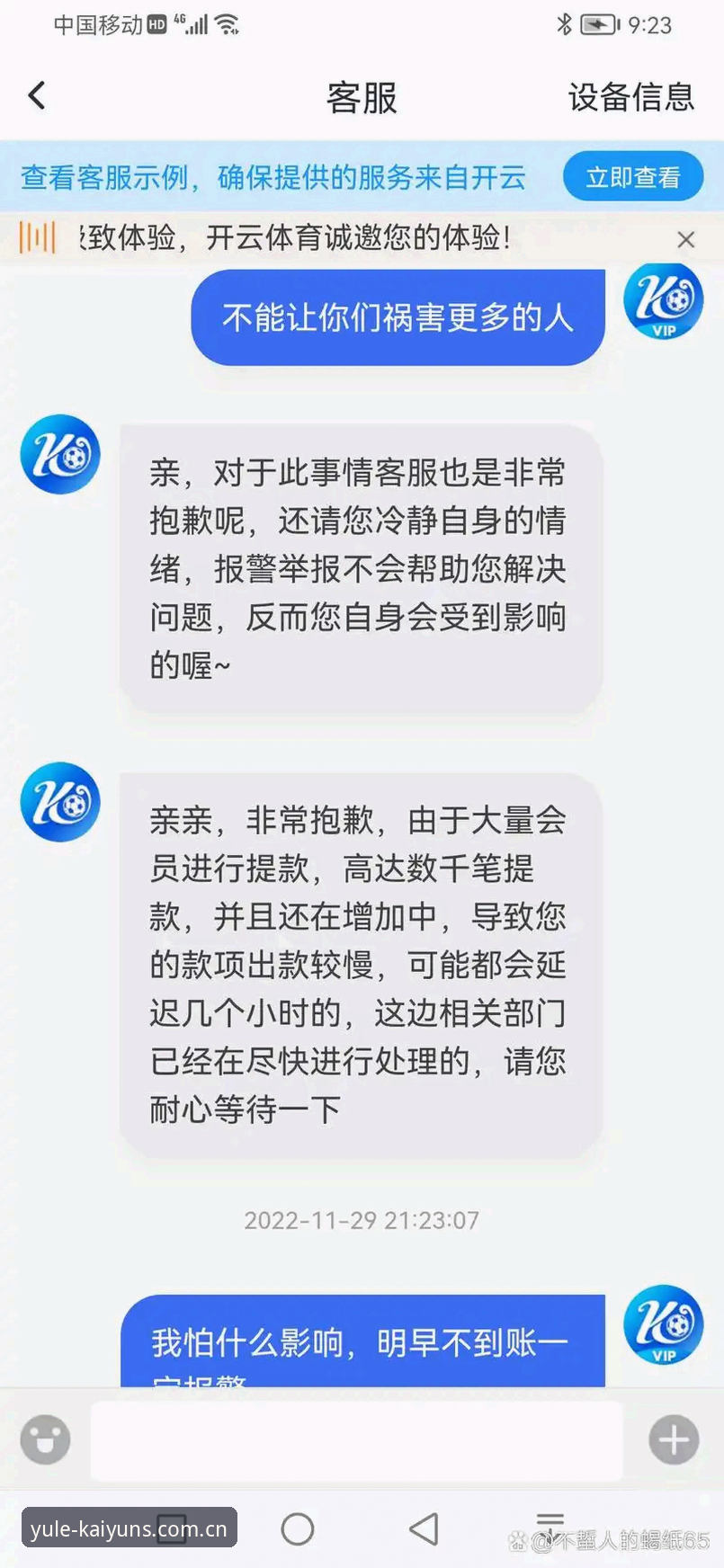 深度揭秘：为什么资深玩家都在用开云体育PC版？这些功能你不知道的事